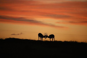 The Ranch House at African Safari Lodge